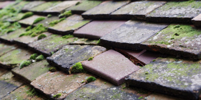 Potsgrove roof repair costs